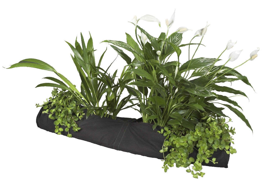 PLANT SOCK 15X80cm