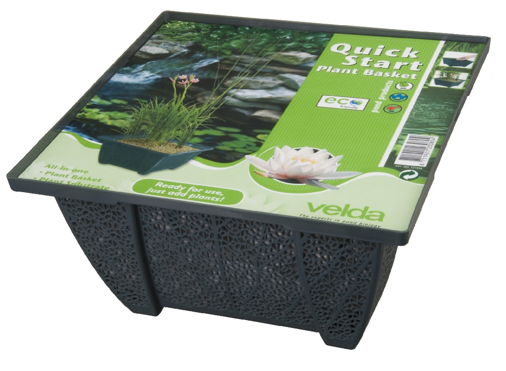 QUICK START PLANT BASKET 25cm