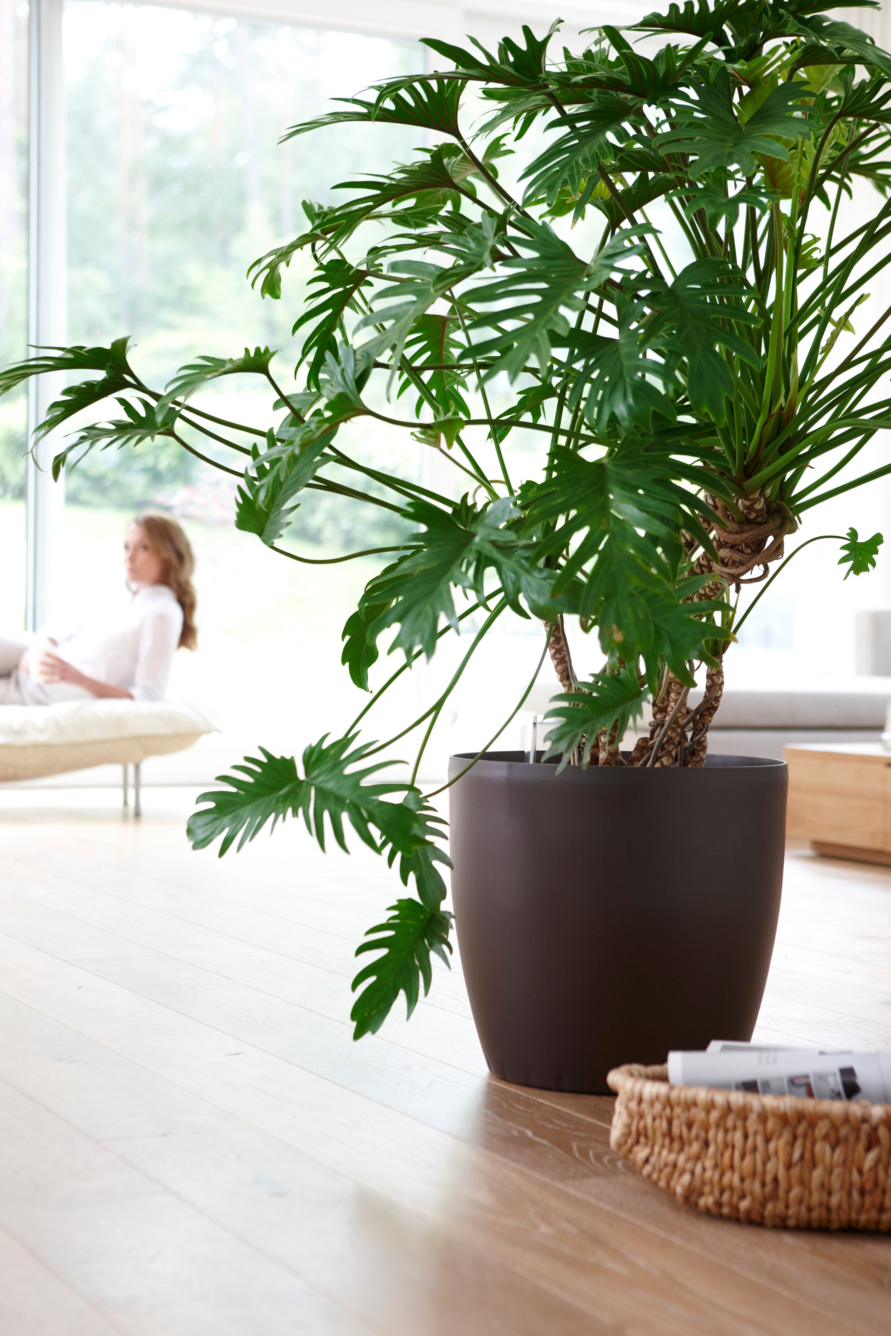 CASA Brilliant Planter