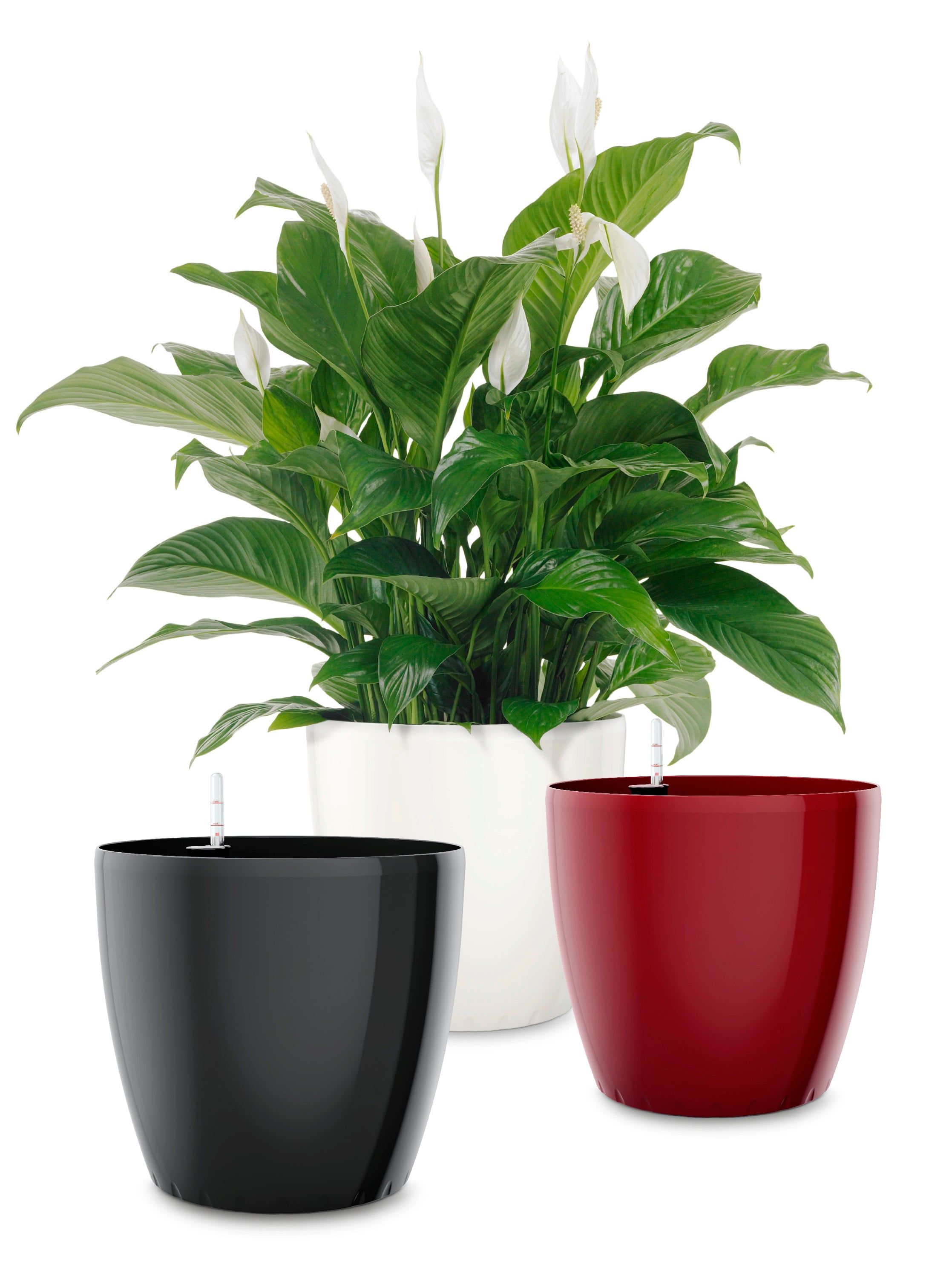 CASA Brilliant Planter