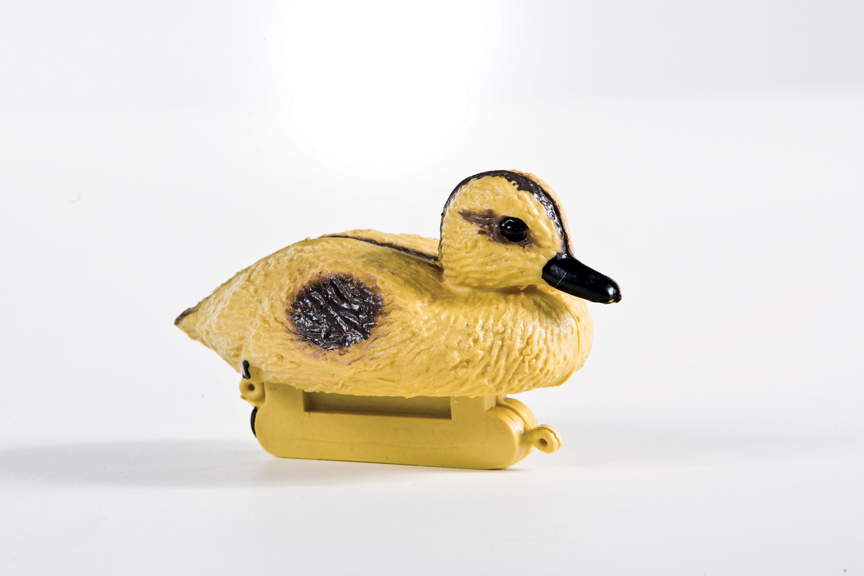 WILD CHICK DUCK