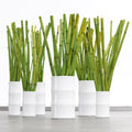 Bamboo vase 36cm , 21cm white