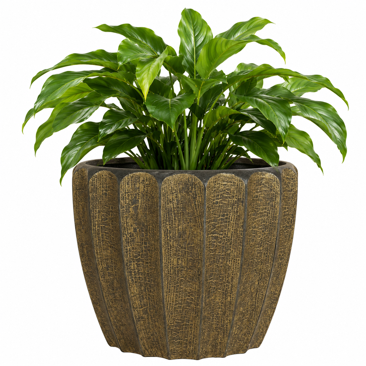 Firewood 42/36 cm brown