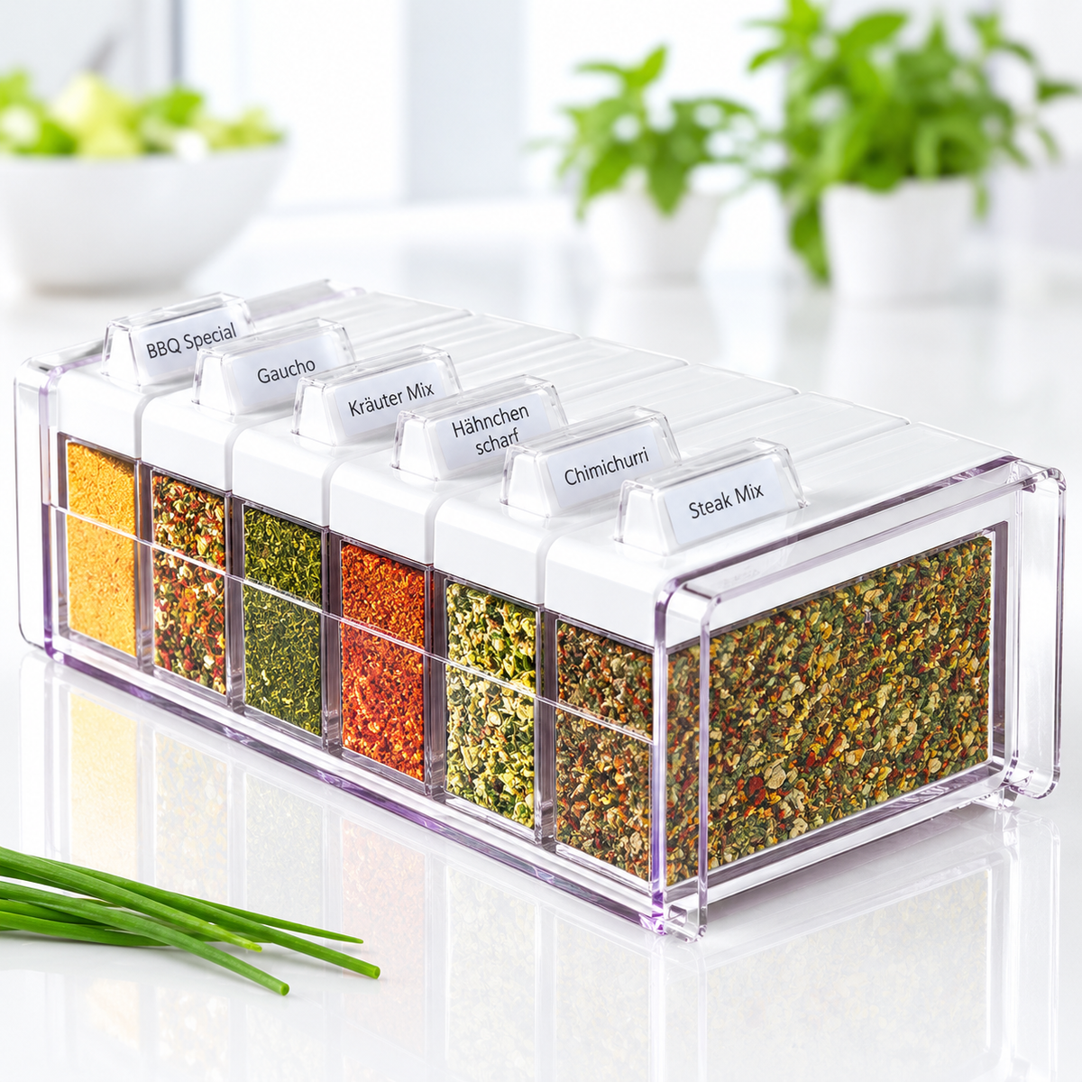 SPICE BOX Spice organizer with 6 spices