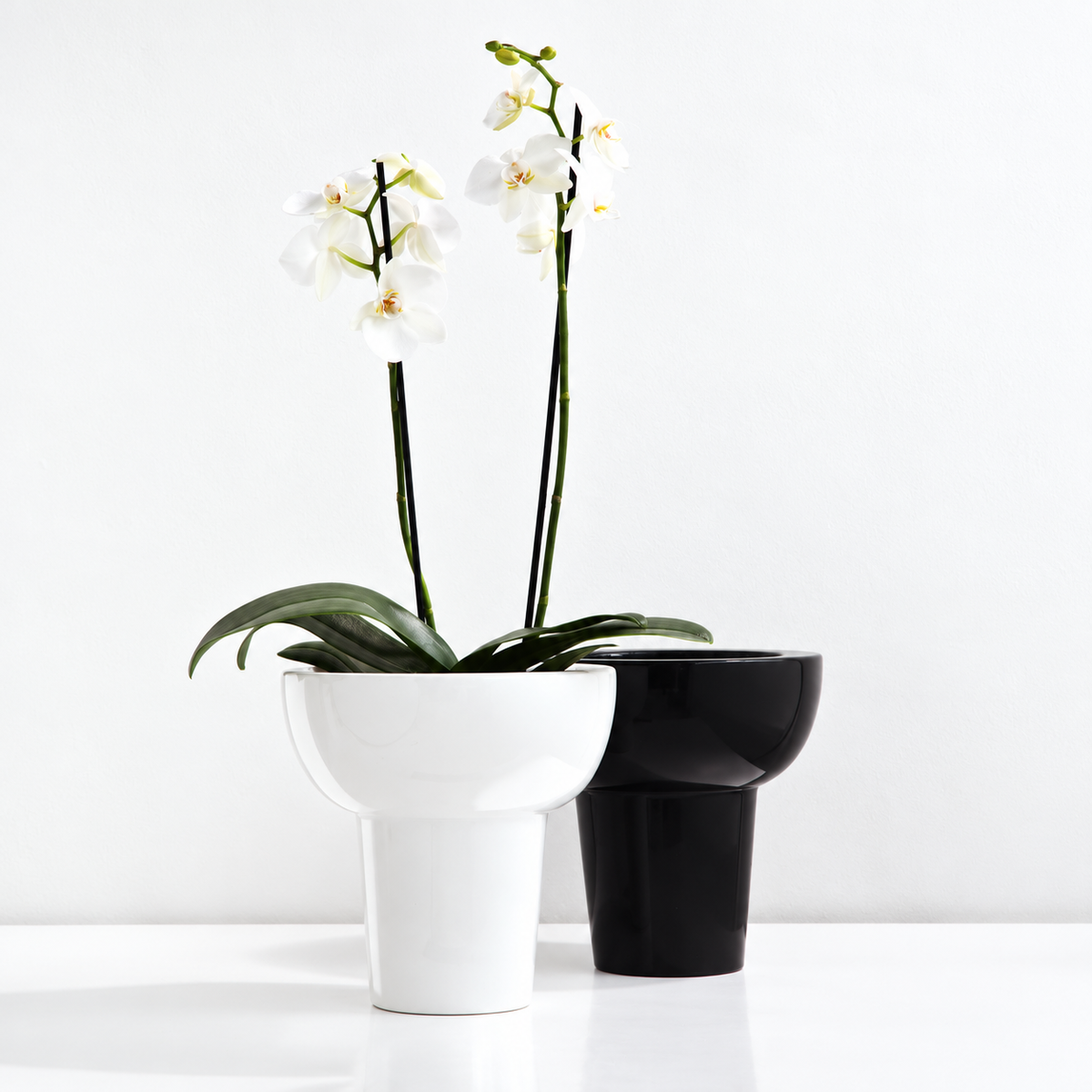 MIDORO Porcelain vase on foot 20cm, 23cm black