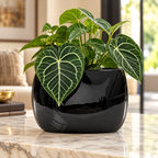 LENS & ORBIT Porcelain vase 25cm, 38cm, 55cm black