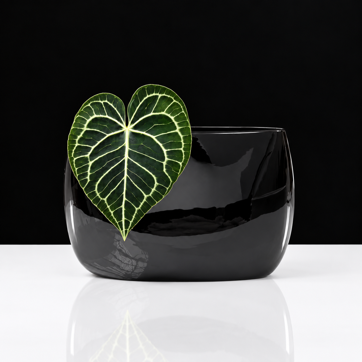 LENS & ORBIT Porcelain vase 25cm, 38cm, 55cm black