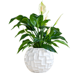 Mosaic Ball, 33cm height  33cm white
