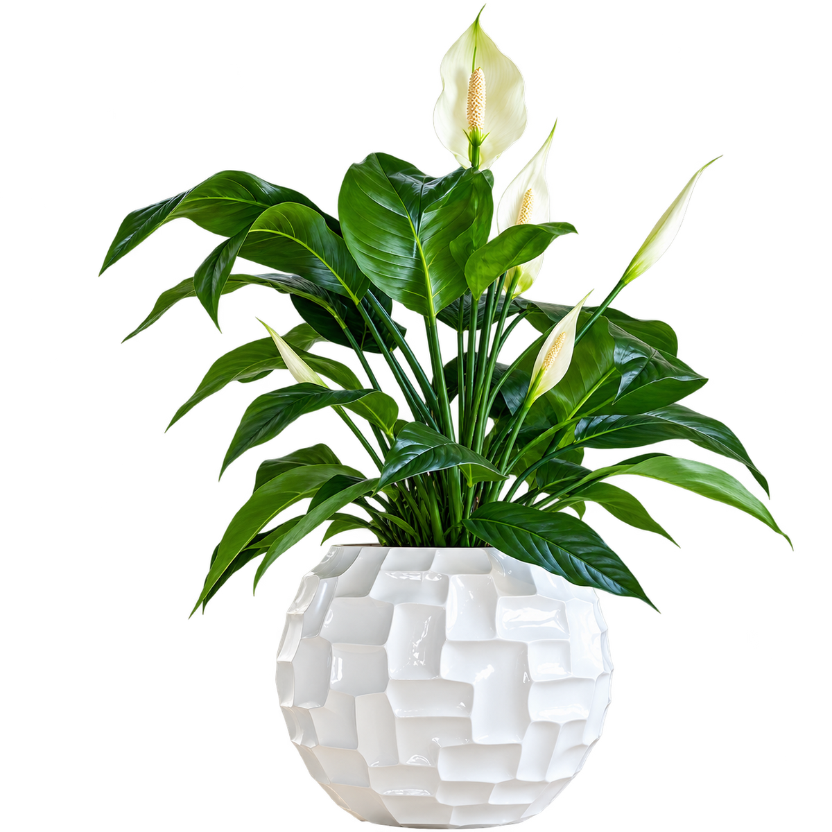 Mosaic Ball, 33cm height  33cm white
