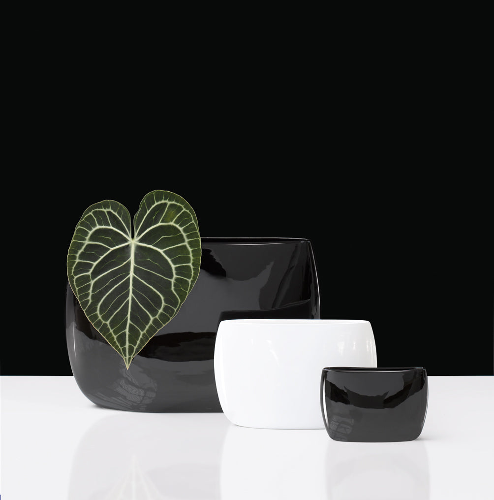 LENS & ORBIT vase 25cm, 38cm, 55cm black