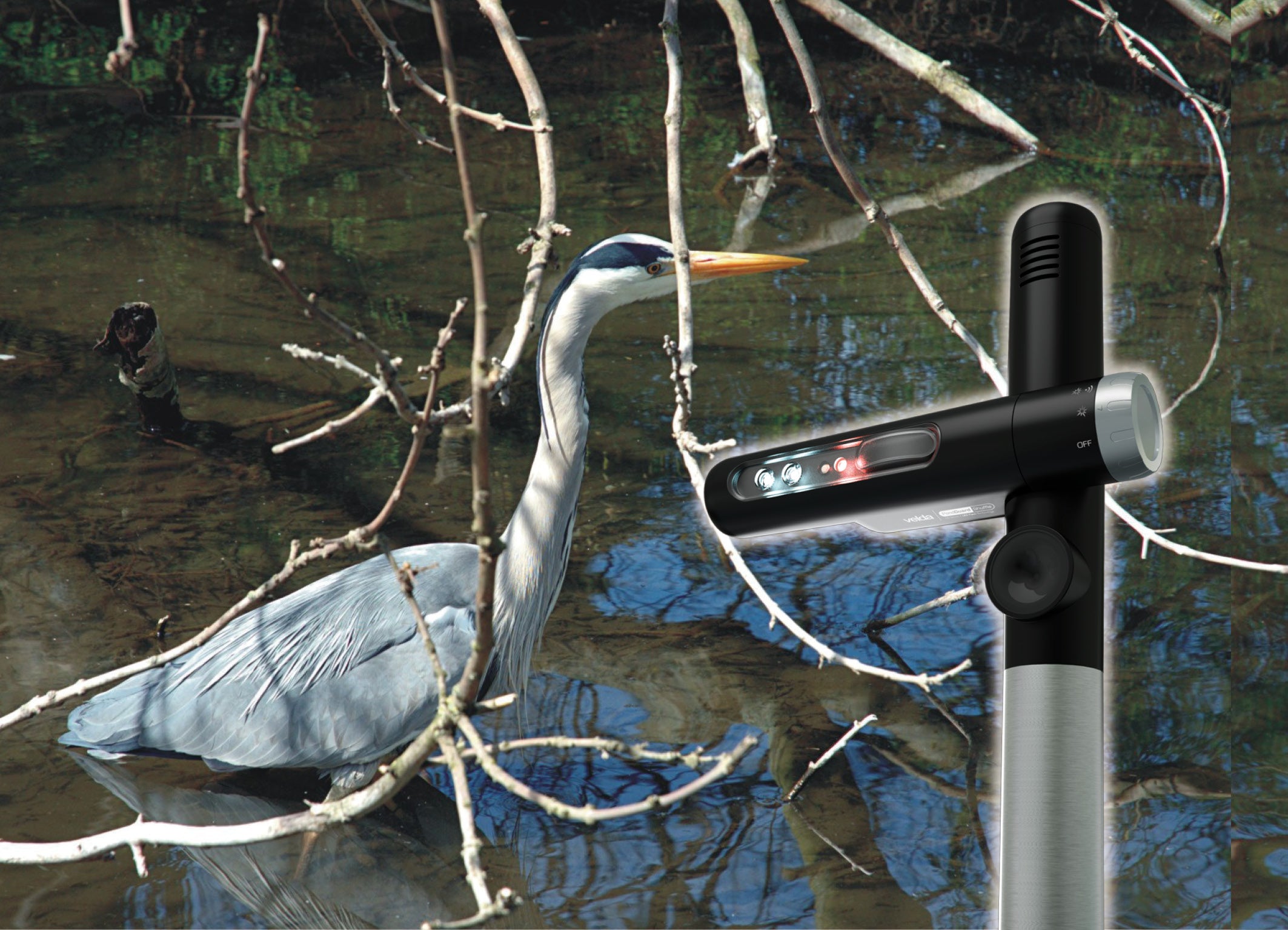 POND GUARD SHUFFLE