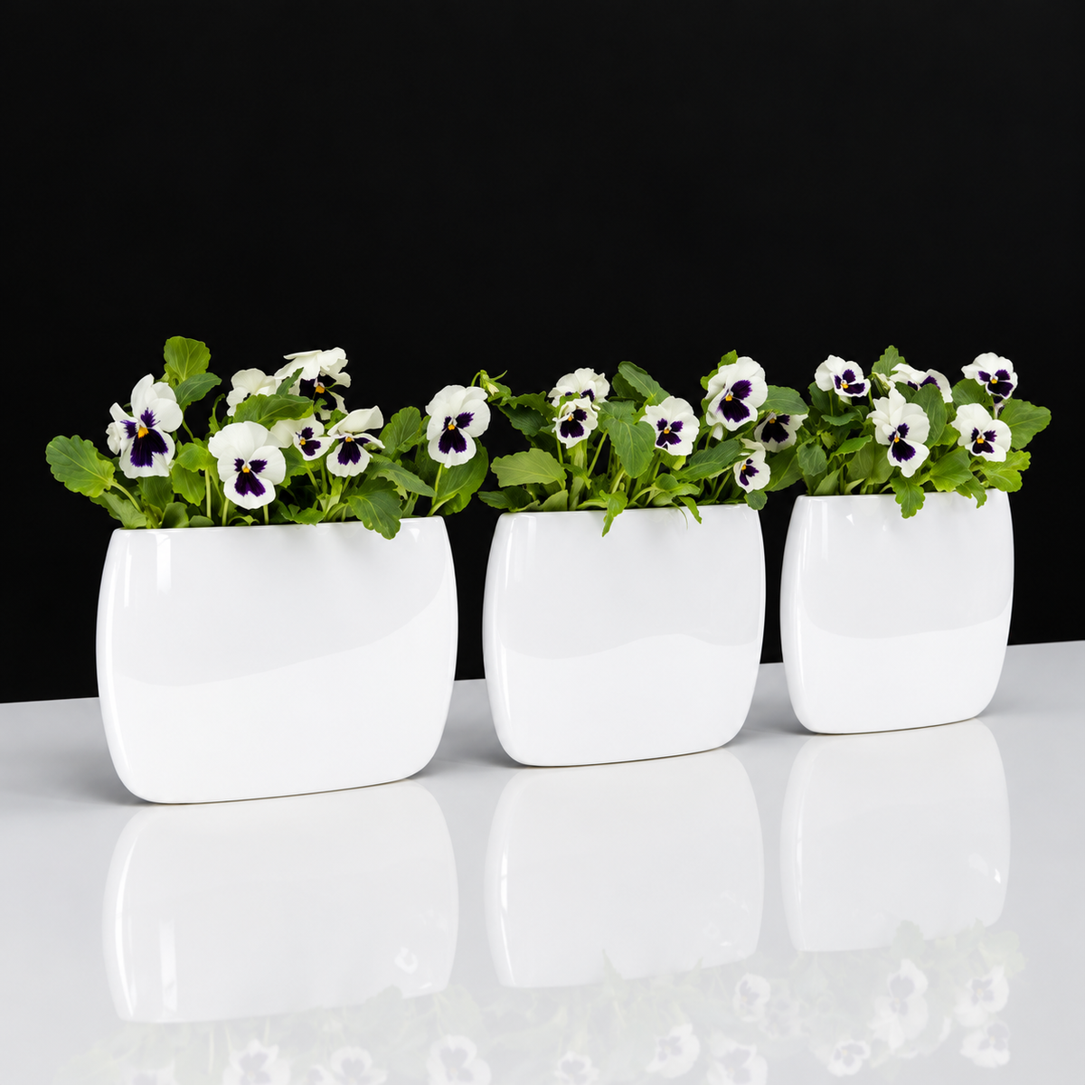 LENS & ORBIT Porcelain vase 25cm, 38cm, 55cm black