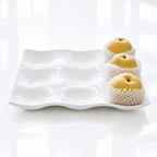 ONDA Porcelain square 9 selection dish