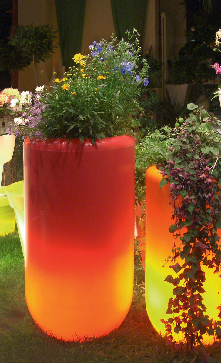 Bloom 40cm, h- 70cm, orange